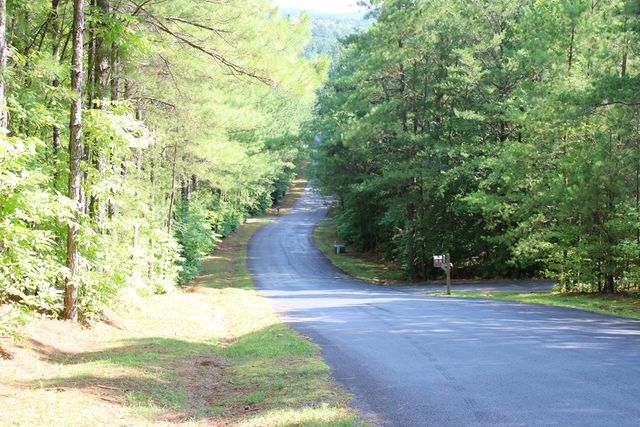 148 Pine View Lane, Copperhill, TN 37317