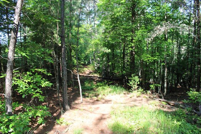 148 Pine View Lane, Copperhill, TN 37317