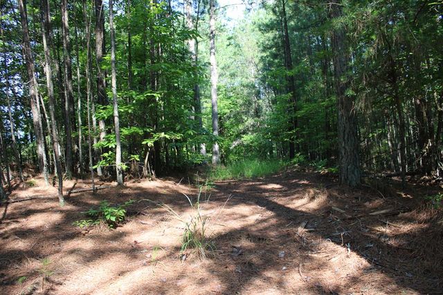 148 Pine View Lane, Copperhill, TN 37317