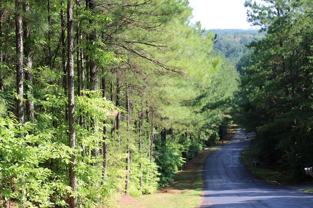 148 Pine View Lane, Copperhill, TN 37317