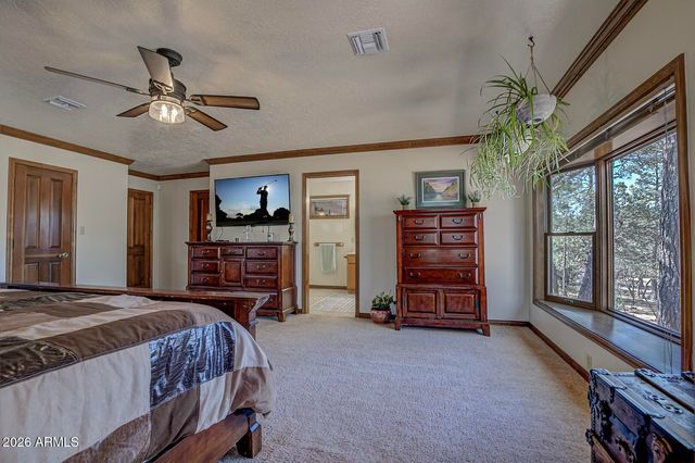 4317 N Mogollon --, Pine, AZ 85544
