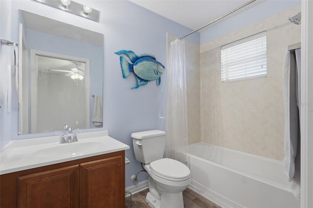 20456 NEEDLETREE DRIVE, Tampa, FL 33647