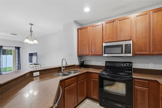 20456 NEEDLETREE DRIVE, Tampa, FL 33647