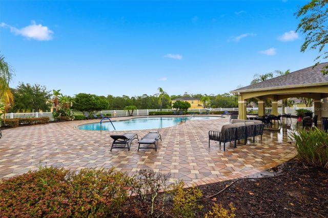 20456 NEEDLETREE DRIVE, Tampa, FL 33647