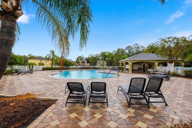 20456 NEEDLETREE DRIVE, Tampa, FL 33647