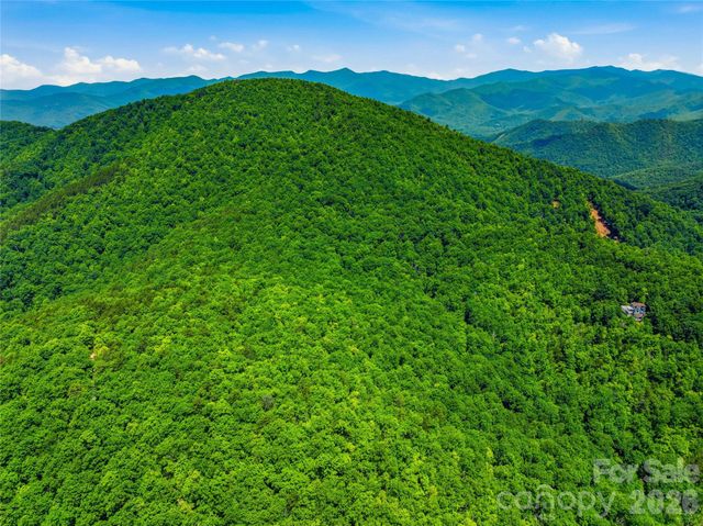 999 Miller Cove Road, Black Mountain, NC 28711
