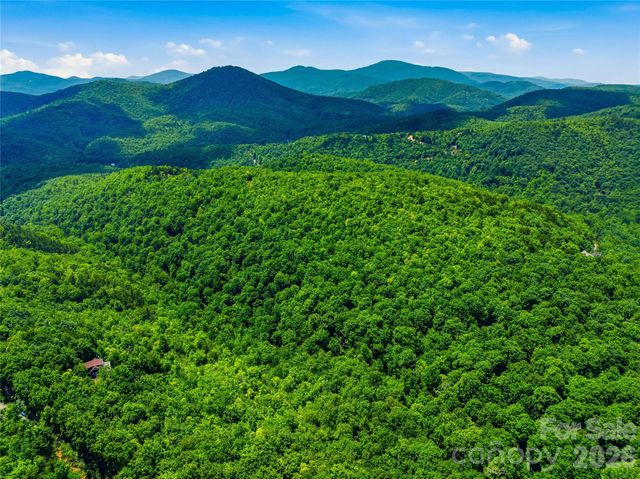 999 Miller Cove Road, Black Mountain, NC 28711