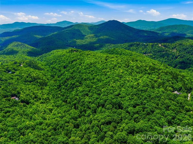 999 Miller Cove Road, Black Mountain, NC 28711