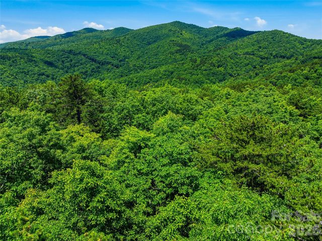 999 Miller Cove Road, Black Mountain, NC 28711