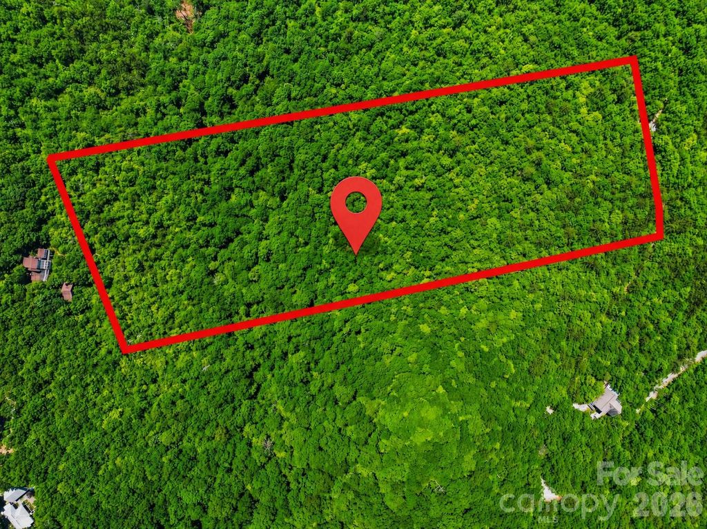 999 Miller Cove Road, Black Mountain, NC 28711