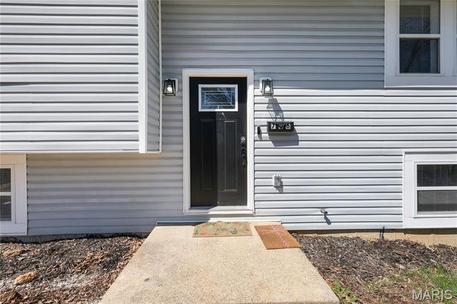 706 Bogy Street, De Soto, MO 63020
