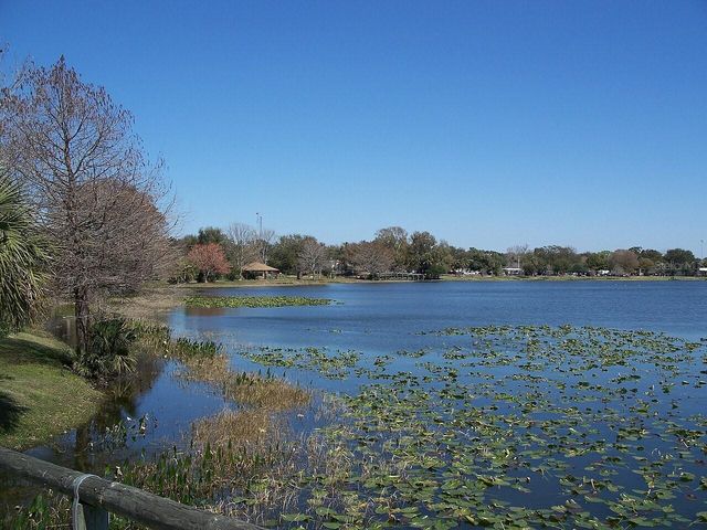 817 OAKS SHORES ROAD, Leesburg, FL 34748