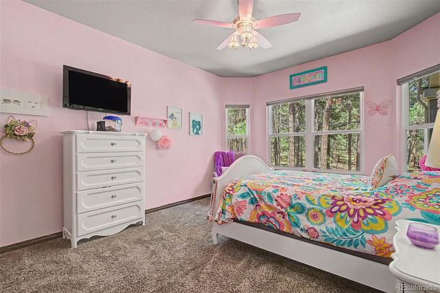 15545 Pole Pine Point, Colorado Springs, CO 80908