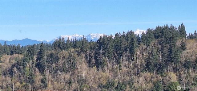 1106 Fairmount Ave, Shelton, WA 98584