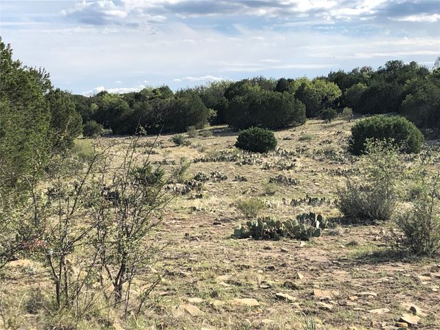 11501 CR 186, Brookesmith, TX 76827
