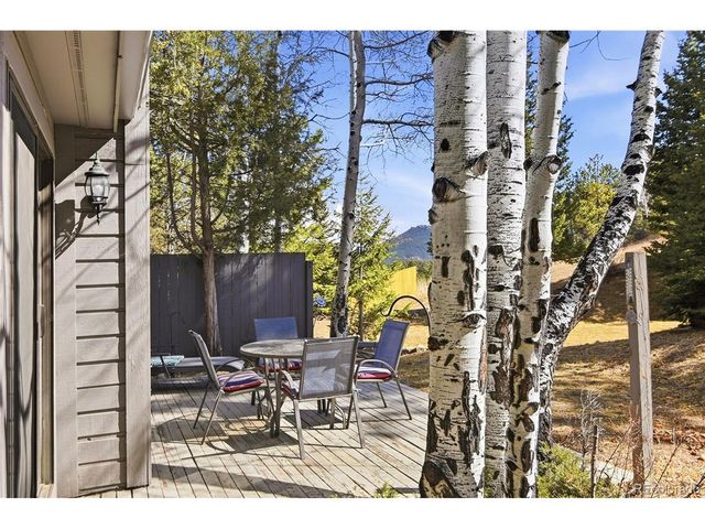 3641 Joyful Way C, Evergreen, CO 80439