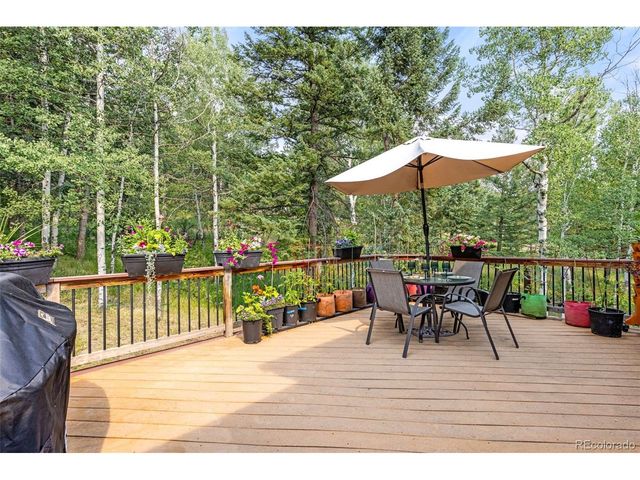 31547 Niakwa Rd, Evergreen, CO 80439