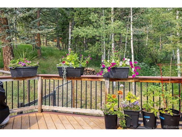 31547 Niakwa Rd, Evergreen, CO 80439