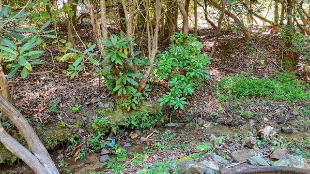 754 Ruby Lake Drive, Hiawassee, GA 30546