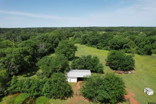 535 CR 1710, Grapeland, TX 75844