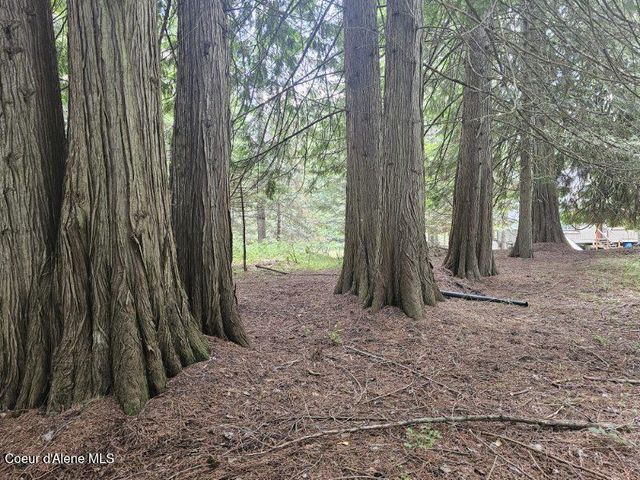 NNA Delta Shores, Lot 12, Clark Fork, ID 83811