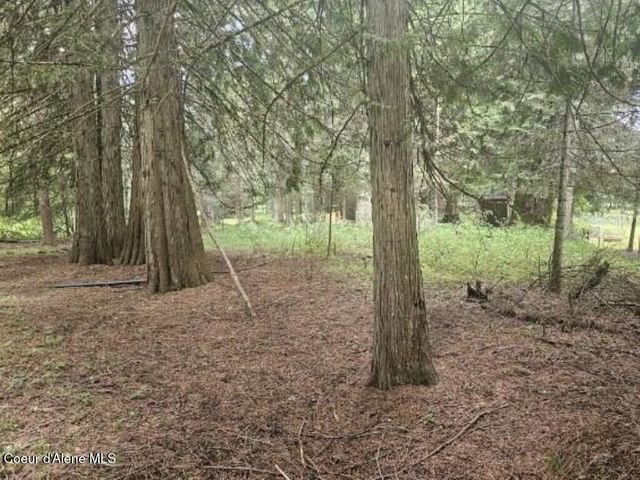 NNA Delta Shores, Lot 12, Clark Fork, ID 83811