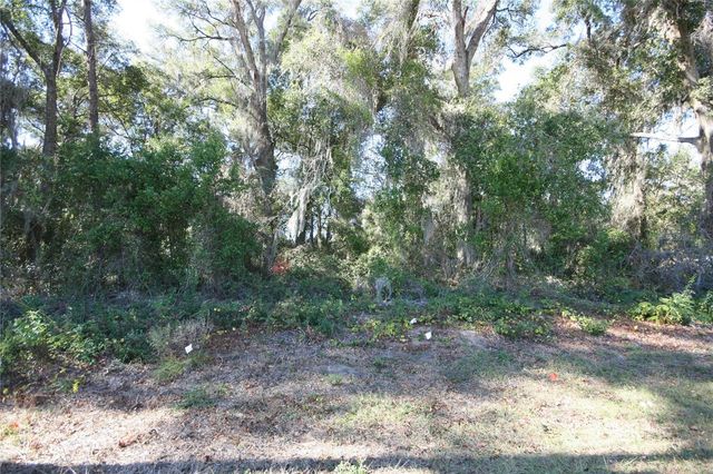NE 36 AVE TBD, Ocala, FL 34474
