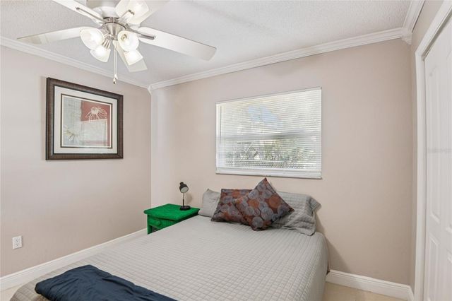 804 ROBIN AVENUE, Palm Harbor, FL 34683