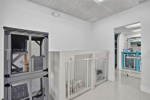 Dog Grooming Dog Grooming Shop For Sale In Miami, Miami, FL 33173