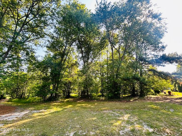 136 Sugar Maple Court, Wallace, NC 28466