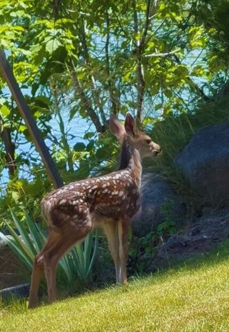 2835 Front Street, Klamath Falls, OR 97601