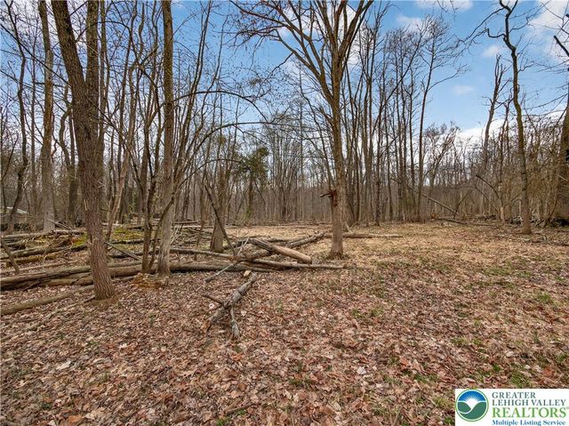 2197 Buck Run Rd, East Rockhill Twp, PA 18951