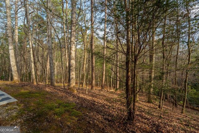 1546 Woodbrier, Sautee Nacoochee, GA 30571