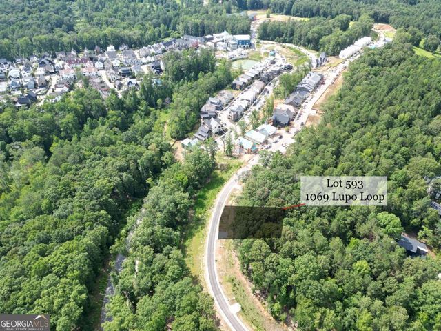 1069 Lupo Loop, Chattahoochee Hills, GA 30268