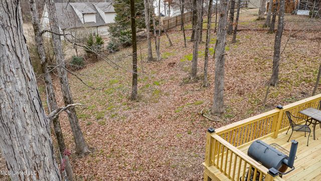 4198 Bienville Road, Nesbit, MS 38651