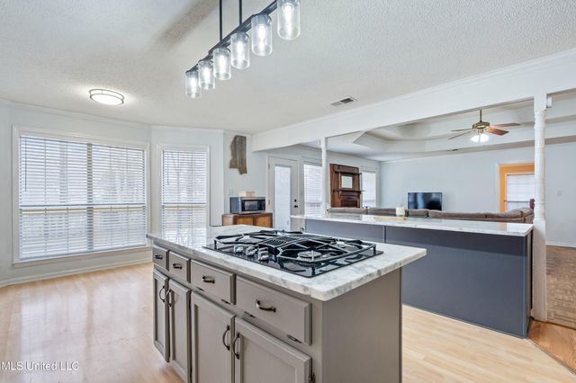 4198 Bienville Road, Nesbit, MS 38651