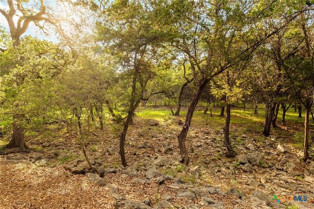 246 Stonebrook Ridge, New Braunfels, TX 78132