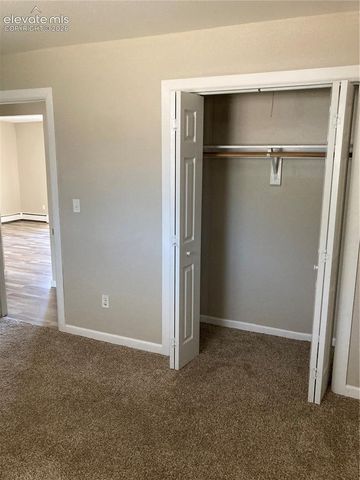 403 Mountain View Place, Woodland Park, CO 80863