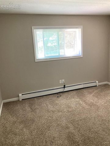403 Mountain View Place, Woodland Park, CO 80863