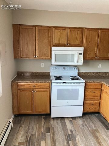 403 Mountain View Place, Woodland Park, CO 80863