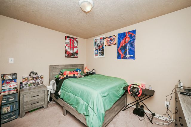 19533 Richland Springs Drive, Houston, TX 77073