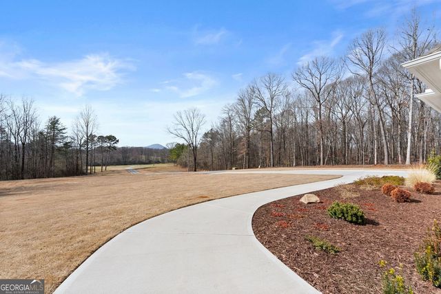 6998 Britt Gailey Road, Clermont, GA 30527