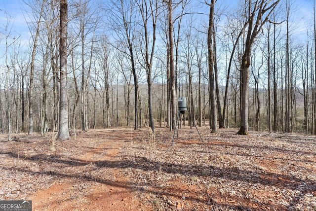 6998 Britt Gailey Road, Clermont, GA 30527