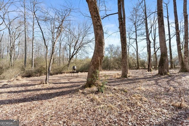 6998 Britt Gailey Road, Clermont, GA 30527