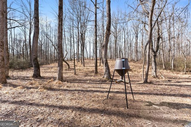 6998 Britt Gailey Road, Clermont, GA 30527