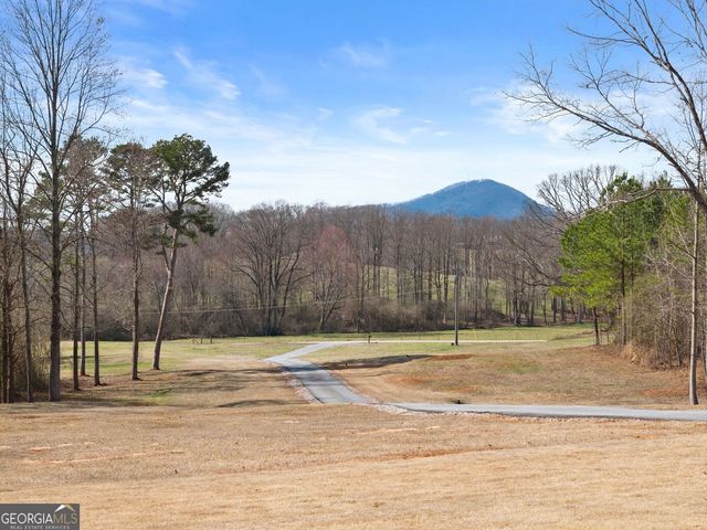 6998 Britt Gailey Road, Clermont, GA 30527