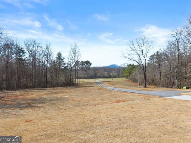 6998 Britt Gailey Road, Clermont, GA 30527