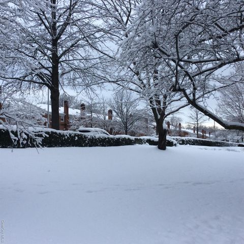 1875 Corporal Kennedy Street L1, Bayside, NY 11360