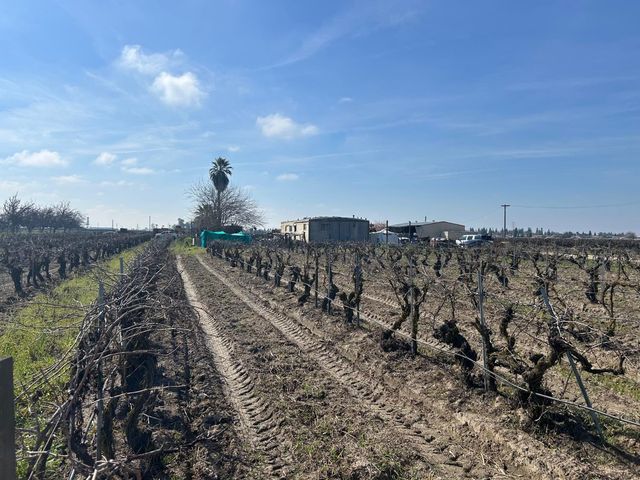 9577 S Del Rey Avenue, Selma, CA 93662