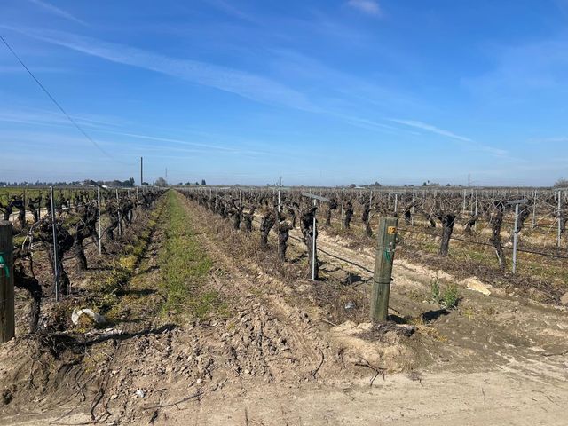 9577 S Del Rey Avenue, Selma, CA 93662